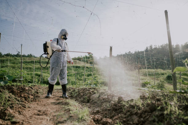 Best Pest Removal Services  in Pepper Pike, OH