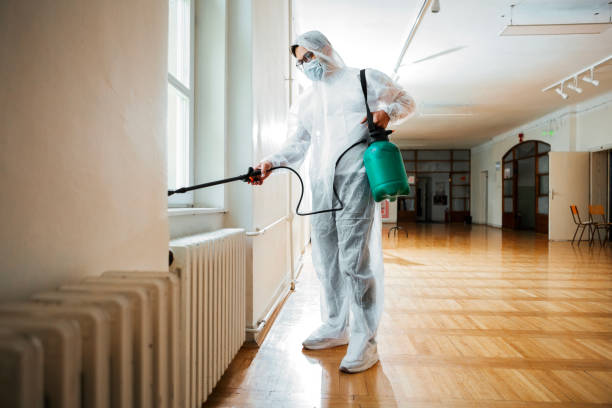 Best Affordable Pest Control Services  in Pepper Pike, OH